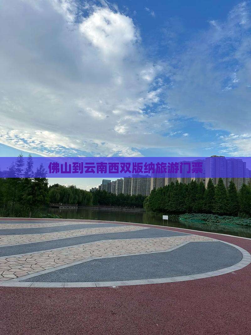 佛山到云南西双版纳门票
