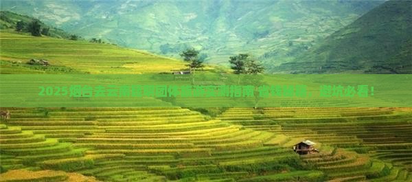 烟台去云南昆明团体旅游