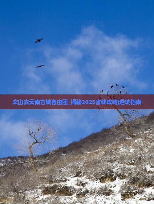 文山去云南古城自由团