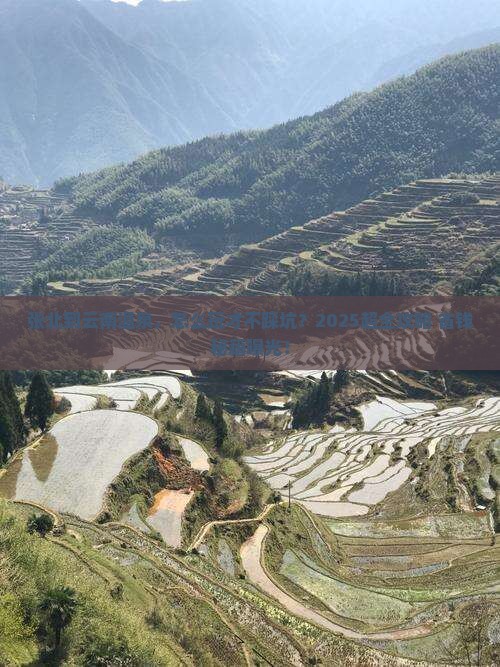 张北到云南温泉旅行社