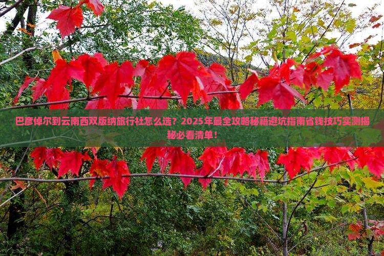 巴彦倬尔到云南西双版纳旅行社
