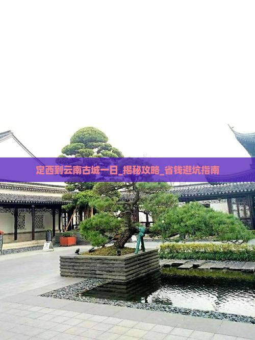 定西到云南古城一日