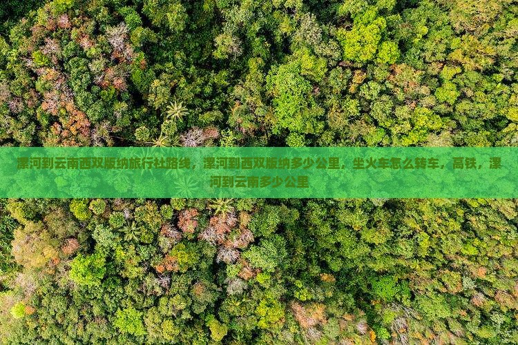 漯河到云南西双版纳旅行社