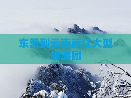 东营到云南丽江大型旅游团