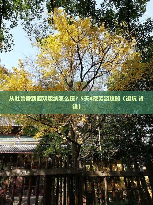 吐鲁番去云南西双版纳攻略