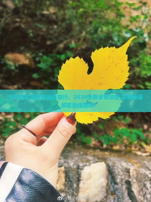 毕节去云南古城自由团