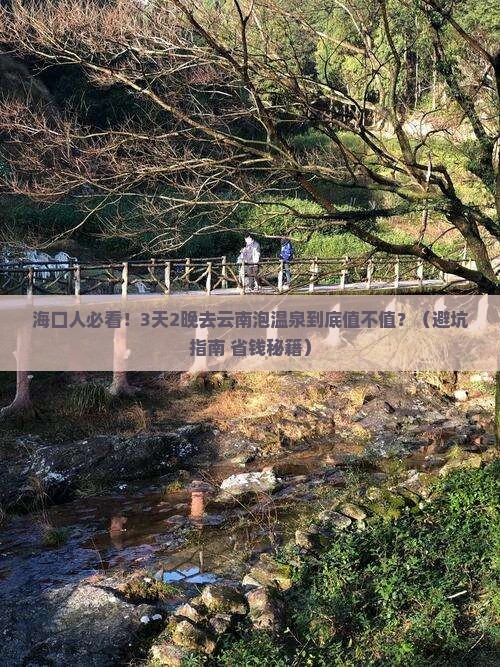 海口去云南温泉门票