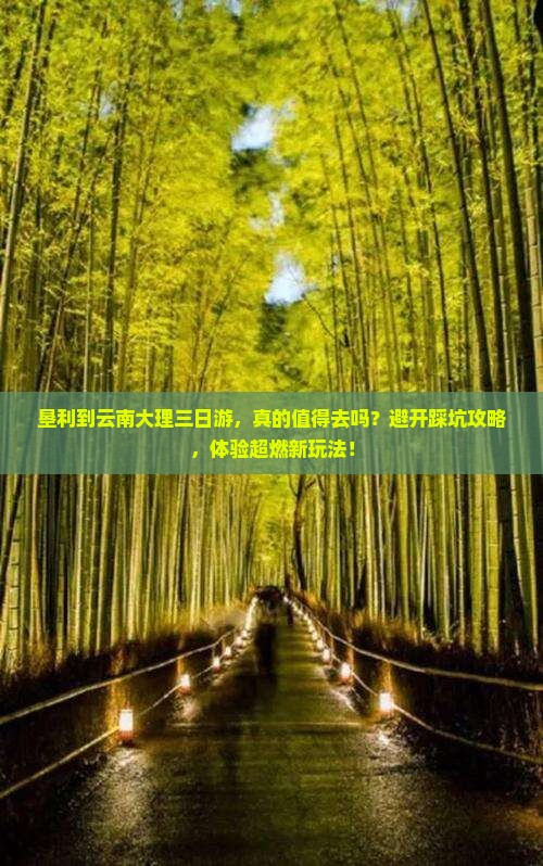 垦利到云南大理三日游