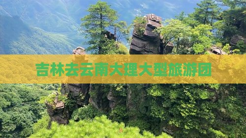 吉林去云南大理大型旅游团