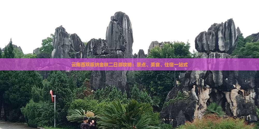 云南西双版纳金秋二日游攻略：景点、美食、住宿一站式