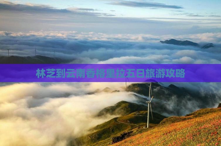 林芝到云南香格里拉五日旅游攻略