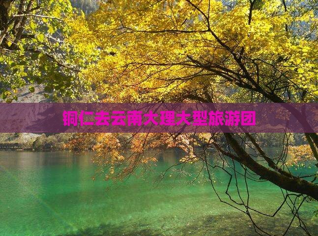 铜仁去云南大理大型旅游团