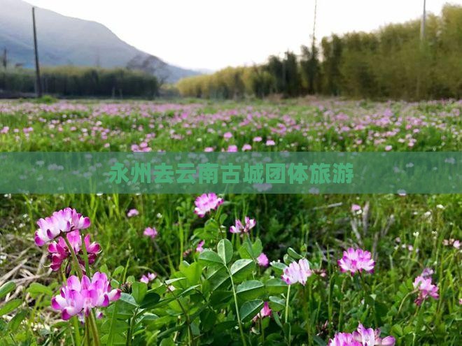 永州去云南古城团体旅游