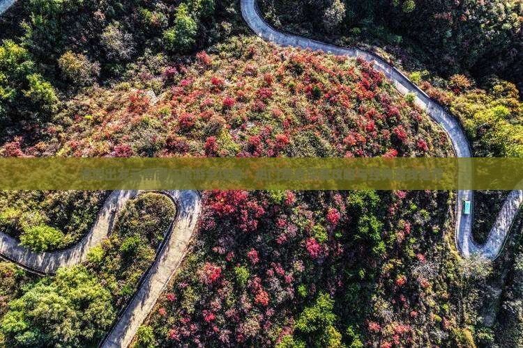 洛阳出发云南丽江旅游全攻略：热门景点深度攻略与经典路线推荐