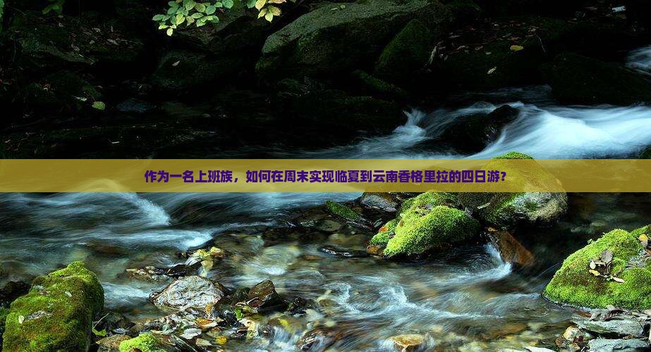 临夏去云南香格里拉四日游