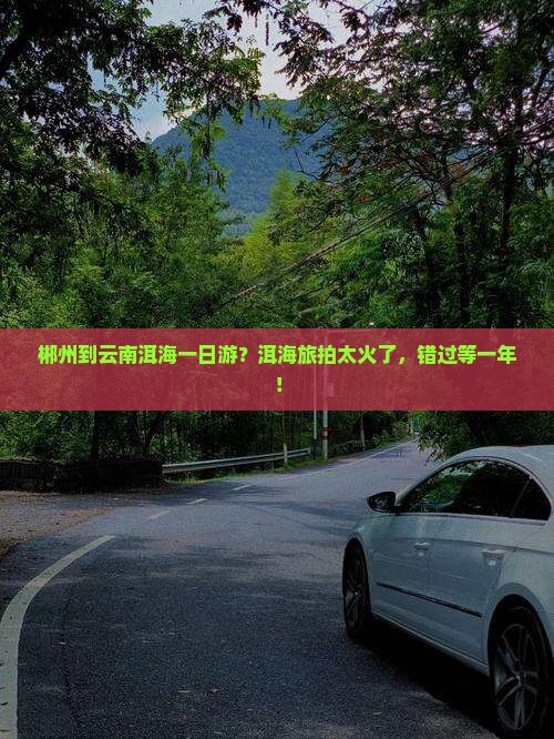 郴州去云南洱海一日