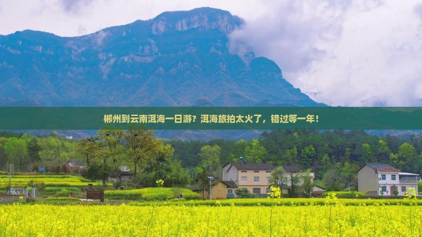 郴州去云南洱海一日