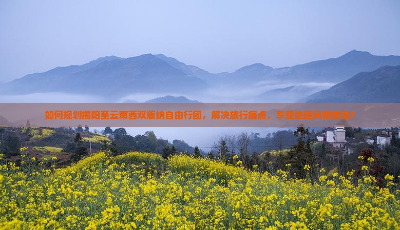 揭阳到云南西双版纳自由团