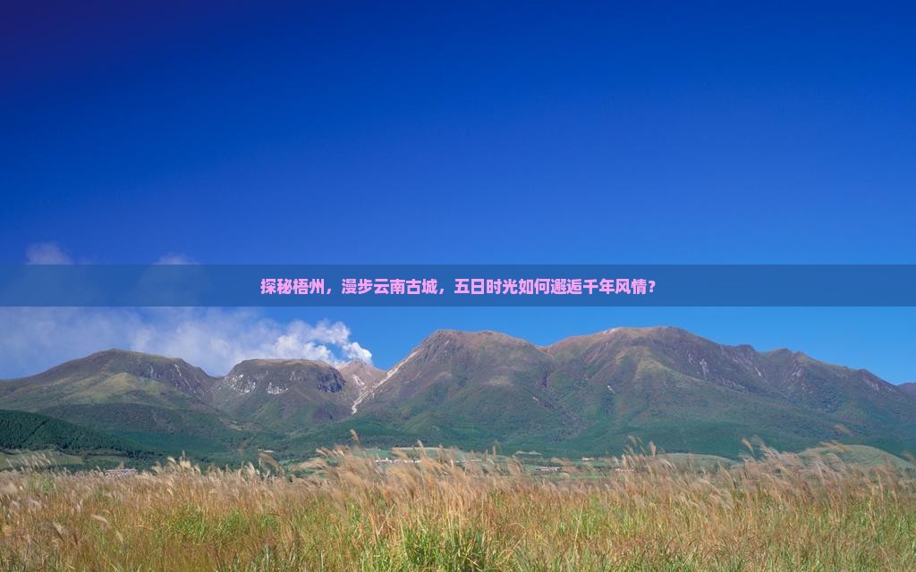 梧州到云南古城五日游