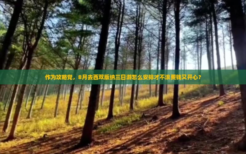 八月去云南西双版纳三日游