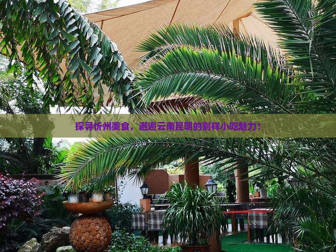 忻州去云南昆明旅游小吃