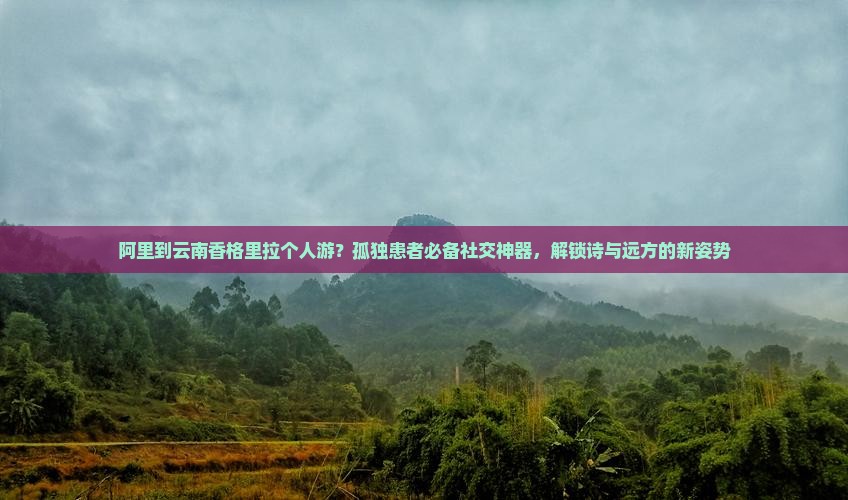 阿里到云南香格里拉个人游
