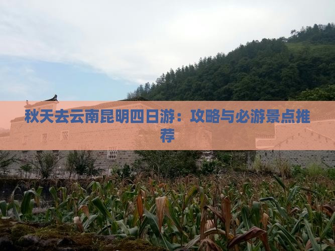 秋天去云南昆明四日游