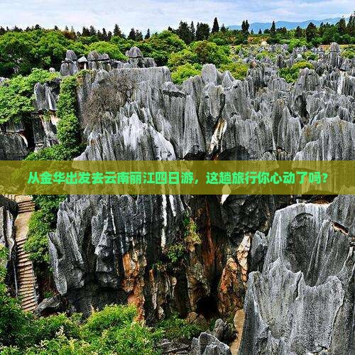 金华到云南丽江四日游