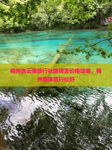 梅州去云南旅行社