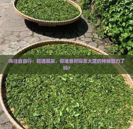 昭通去云南大理旅游