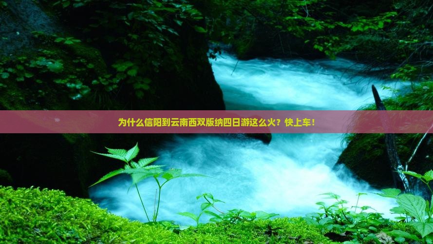 信阳去云南西双版纳四日游