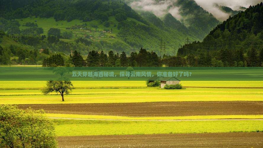海西到云南五日游