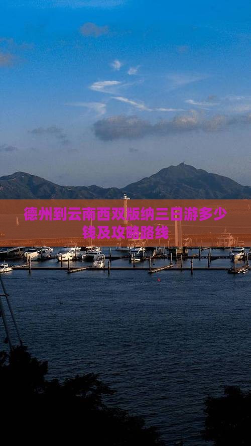 德州到云南西双版纳三日游