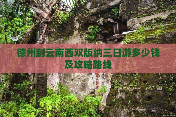 德州到云南西双版纳三日游
