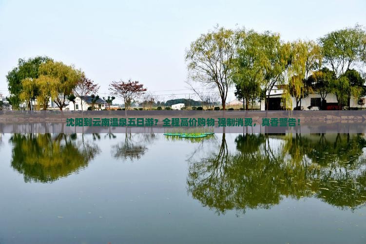 沈阳到云南温泉五日游