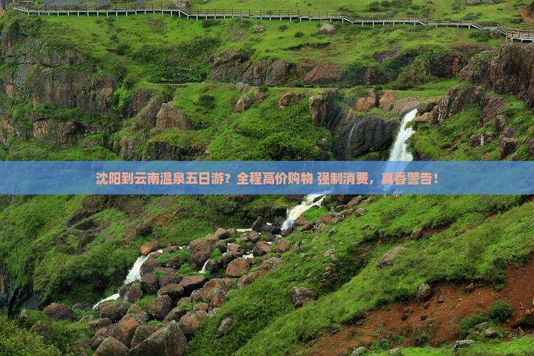 沈阳到云南温泉五日游