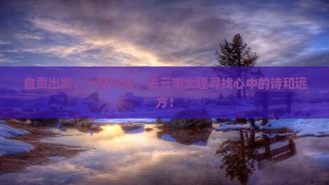 自贡到云南大理自由行