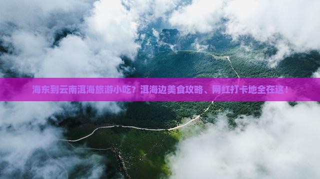 海东到云南洱海旅游小吃