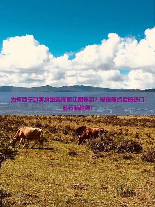 西宁去云南丽江团体旅游