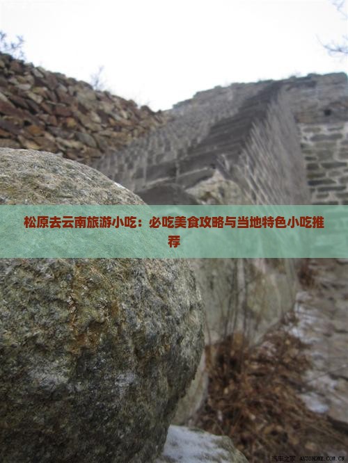 松原去云南旅游小吃