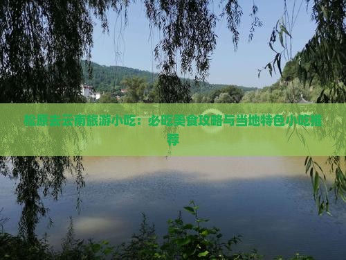 松原去云南旅游小吃