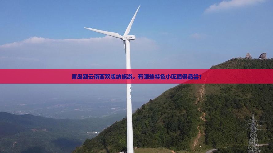 青岛到云南西双版纳旅游小吃