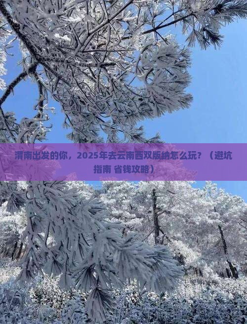 渭南到云南西双版纳旅行社