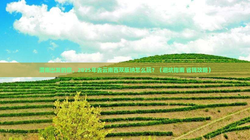 渭南到云南西双版纳旅行社