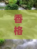 朔州到云南香格里拉旅游小吃