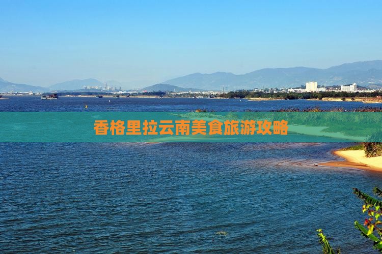 朔州到云南香格里拉旅游小吃
