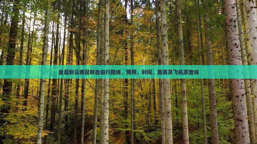 金昌到云南昆明自由行