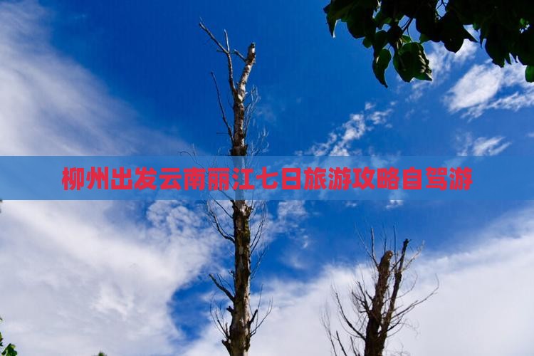 柳州到云南丽江七日游