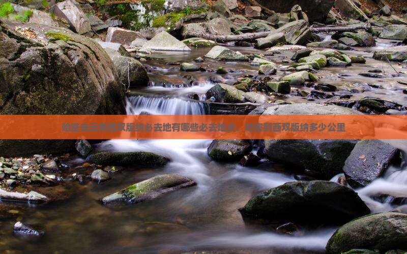 哈密去云南西双版纳必去地