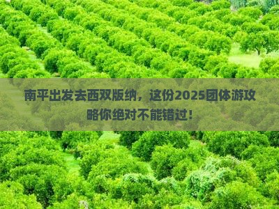 南平到云南西双版纳团体旅游